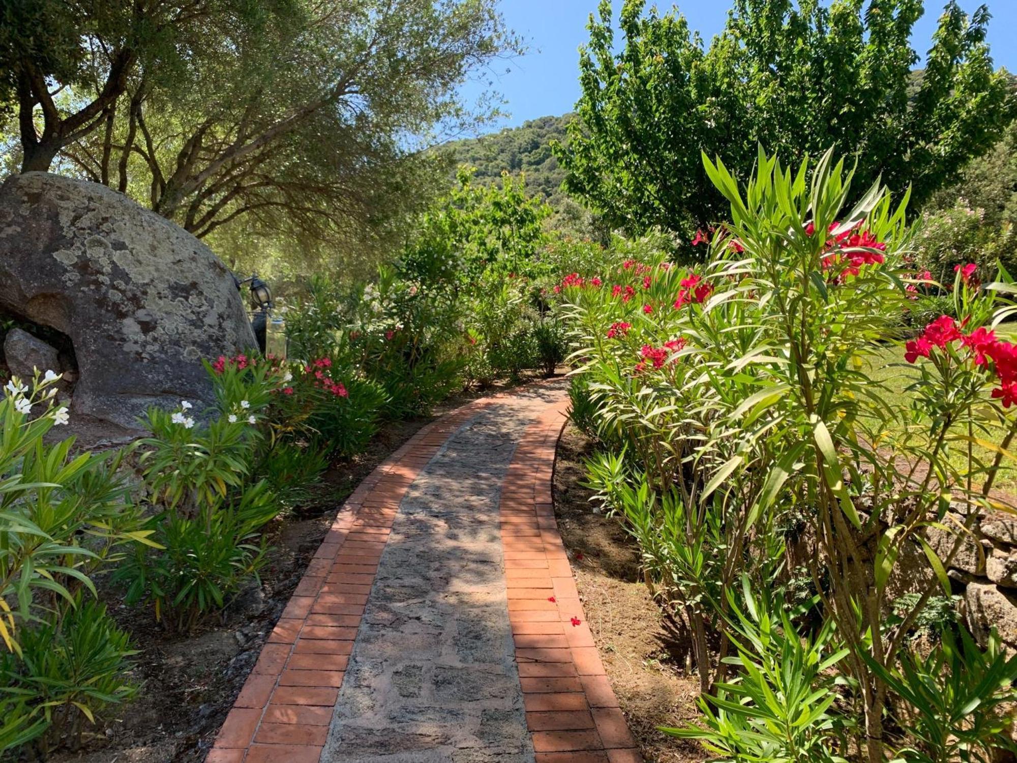 Hotel Valkarana Country Relais (Adults Only) Sant'Antonio di Gallura Extérieur photo